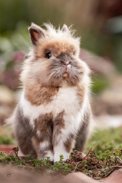 0A8A0624 (2024 05 10T23_03_01